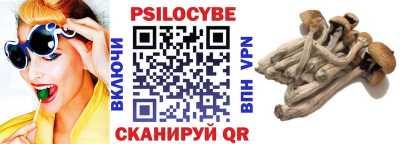 маркетплейс телеграм Шахунья Галлюциногенные грибы прущие грибы